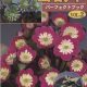 Buch Hepatica-Leberblümchen-Japanisch-Vol. 2-0