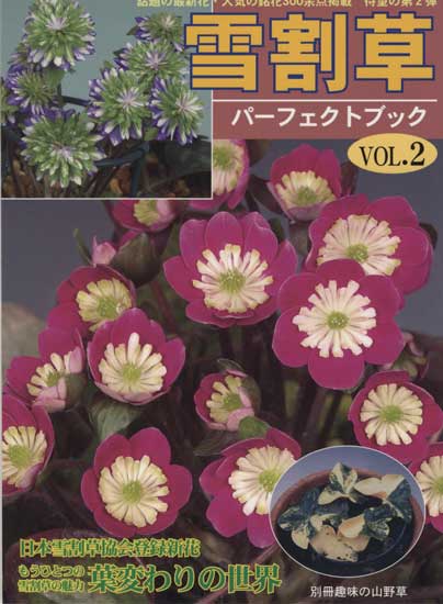 Buch Hepatica-Leberblümchen-Japanisch-Vol. 2-0