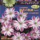 Buch Hepatica-Leberblümchen-Japanisch-Vol. 5-0