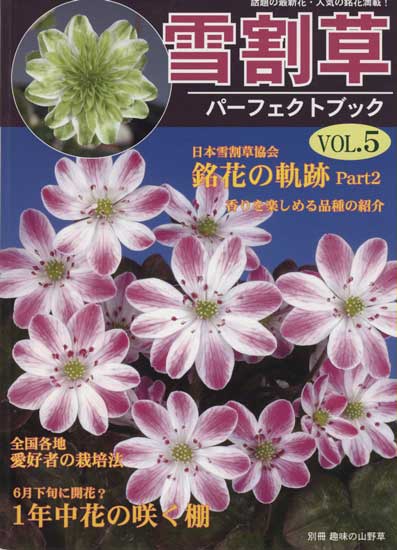 Buch Hepatica-Leberblümchen-Japanisch-Vol. 5-0