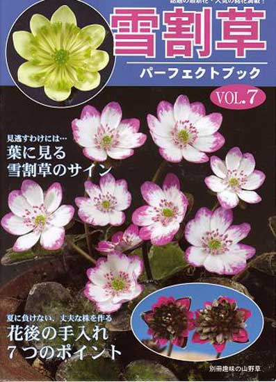 Buch Hepatica-Leberblümchen-Japanisch-Vol. 7-0
