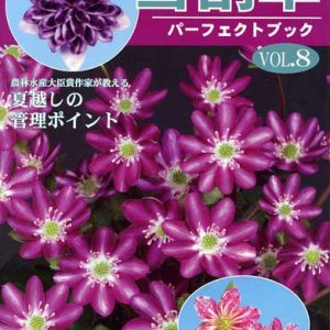 Buch Hepatica-Leberblümchen-Japanisch-Vol. 8-0