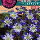 Buch Hepatica-Leberblümchen-Japanisch-Vol. 9-0