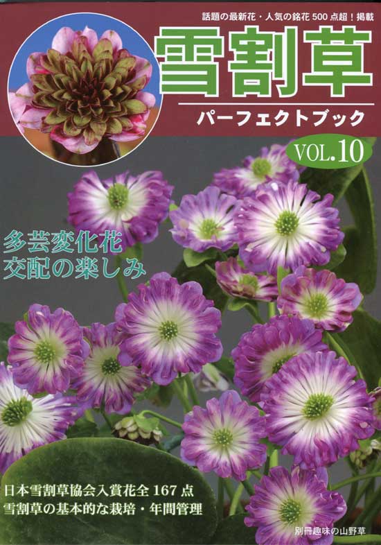 Buch Hepatica-Leberblümchen-Japanisch-Vol. 10-0