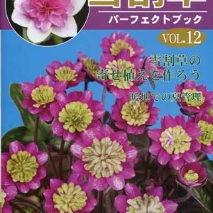 Buch Hepatica-Leberblümchen-Japanisch-Vol. 12-0