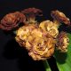 x auricula Forest Old Gold-0