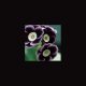 x auricula ' Innsworth '-0
